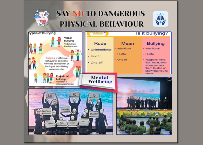 Bright Minds Make Better Choices - 2 Mental Wellbeing